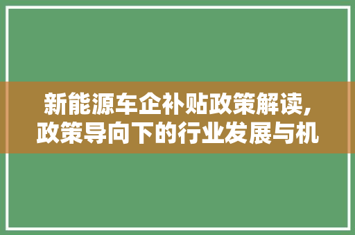 新能源车企补贴政策解读,政策导向下的行业发展与机遇
