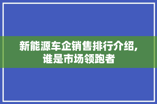 新能源车企销售排行介绍,谁是市场领跑者
