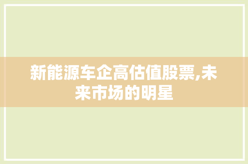 新能源车企高估值股票,未来市场的明星