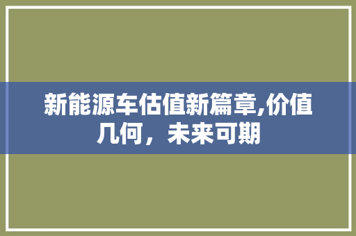 新能源车估值新篇章,价值几何，未来可期