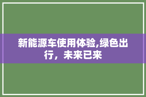 新能源车使用体验,绿色出行，未来已来
