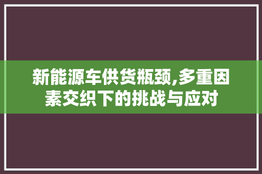 新能源车供货瓶颈,多重因素交织下的挑战与应对