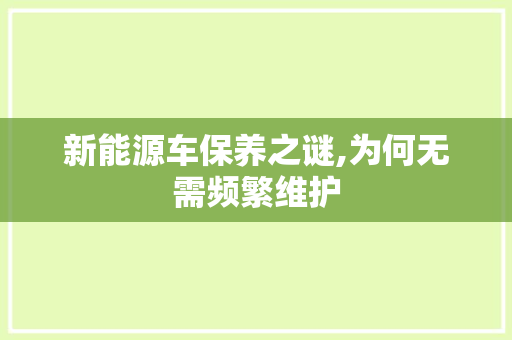 新能源车保养之谜,为何无需频繁维护