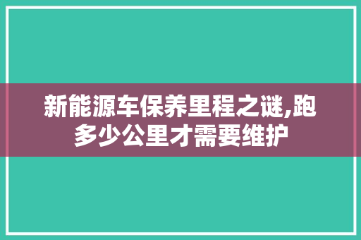 新能源车保养里程之谜,跑多少公里才需要维护