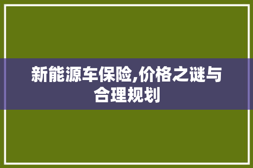 新能源车保险,价格之谜与合理规划