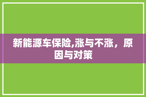 新能源车保险,涨与不涨，原因与对策
