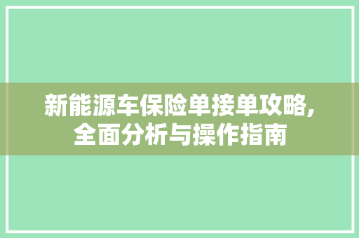 新能源车保险单接单攻略,全面分析与操作指南