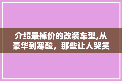 介绍最掉价的改装车型,从豪华到寒酸，那些让人哭笑不得的改装例子