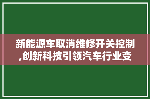 新能源车取消维修开关控制,创新科技引领汽车行业变革