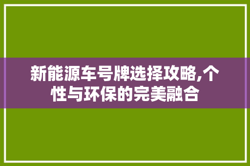 新能源车号牌选择攻略,个性与环保的完美融合