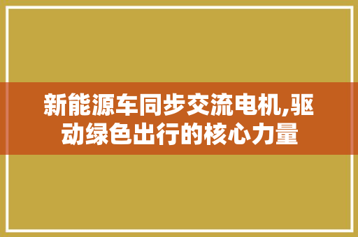 新能源车同步交流电机,驱动绿色出行的核心力量