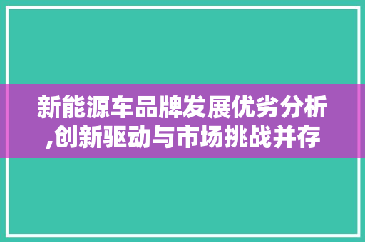新能源车品牌发展优劣分析,创新驱动与市场挑战并存