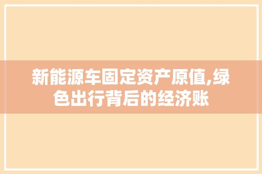 新能源车固定资产原值,绿色出行背后的经济账