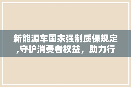 新能源车国家强制质保规定,守护消费者权益，助力行业健康发展