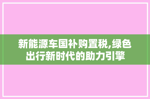 新能源车国补购置税,绿色出行新时代的助力引擎