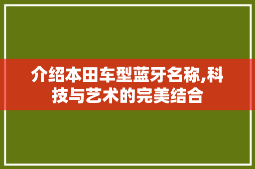 介绍本田车型蓝牙名称,科技与艺术的完美结合