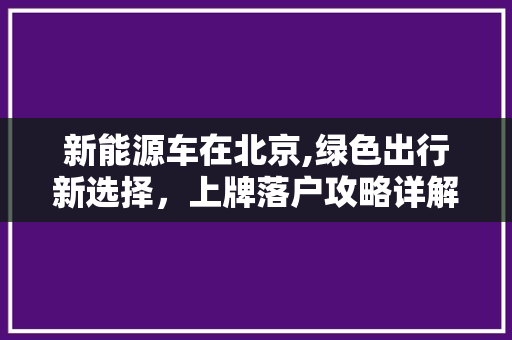 新能源车在北京,绿色出行新选择，上牌落户攻略详解