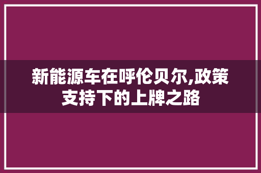 新能源车在呼伦贝尔,政策支持下的上牌之路