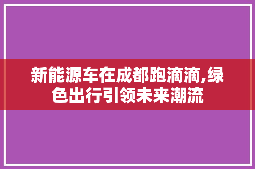 新能源车在成都跑滴滴,绿色出行引领未来潮流