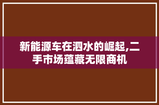 新能源车在泗水的崛起,二手市场蕴藏无限商机