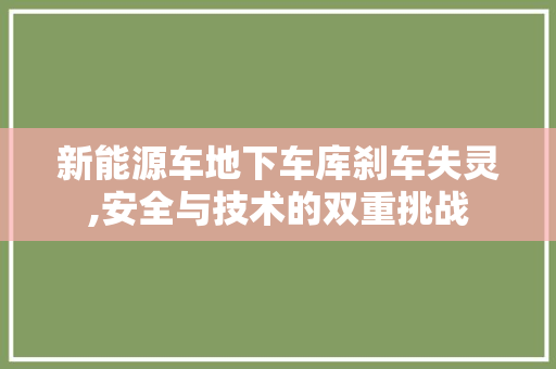 新能源车地下车库刹车失灵,安全与技术的双重挑战