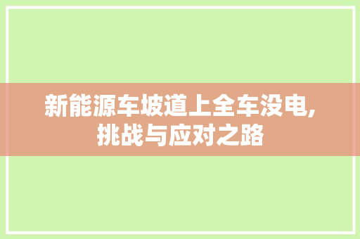 新能源车坡道上全车没电,挑战与应对之路