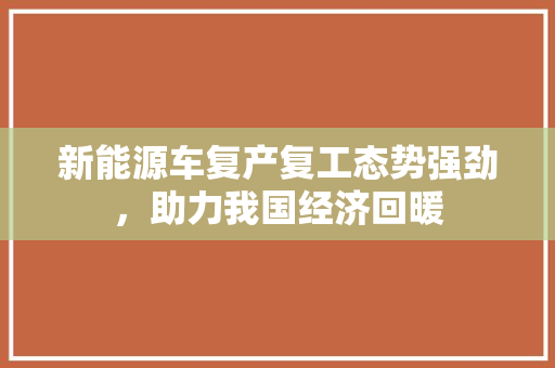 新能源车复产复工态势强劲，助力我国经济回暖
