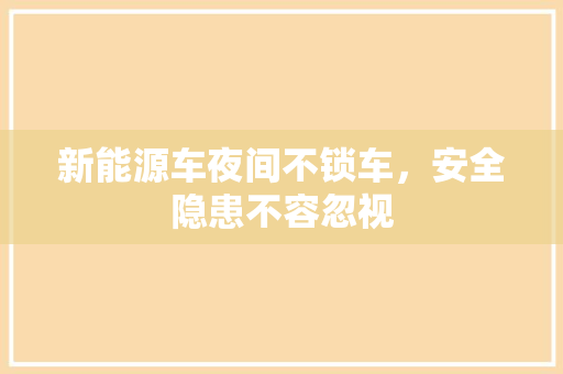 新能源车夜间不锁车，安全隐患不容忽视