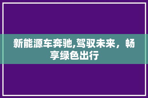 新能源车奔驰,驾驭未来，畅享绿色出行