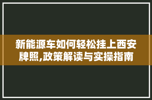 新能源车如何轻松挂上西安牌照,政策解读与实操指南