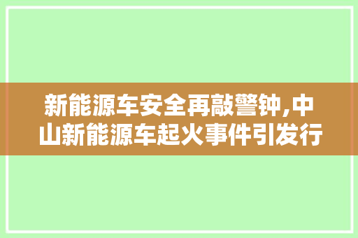 新能源车安全再敲警钟,中山新能源车起火事件引发行业反思