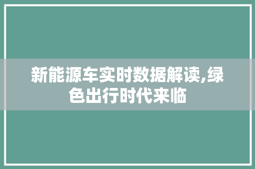 新能源车实时数据解读,绿色出行时代来临