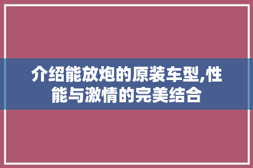 介绍能放炮的原装车型,性能与激情的完美结合