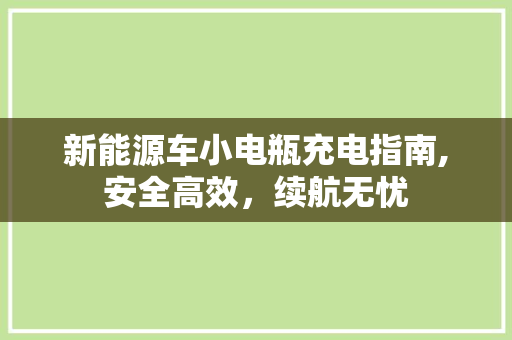 新能源车小电瓶充电指南,安全高效，续航无忧