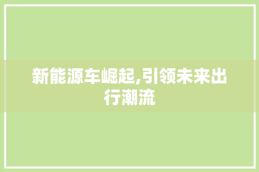 新能源车崛起,引领未来出行潮流