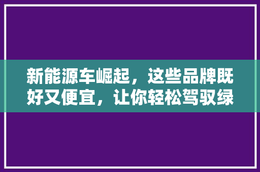 新能源车崛起，这些品牌既好又便宜，让你轻松驾驭绿色出行