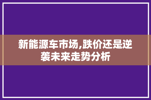 新能源车市场,跌价还是逆袭未来走势分析