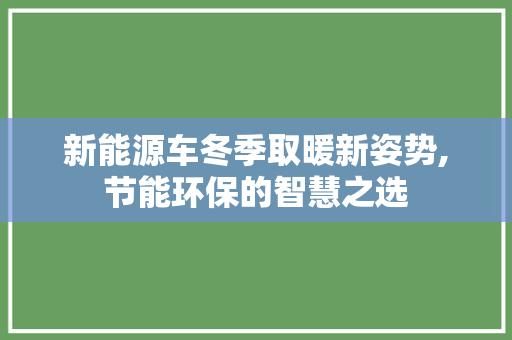 新能源车冬季取暖新姿势,节能环保的智慧之选