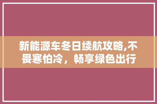 新能源车冬日续航攻略,不畏寒怕冷，畅享绿色出行