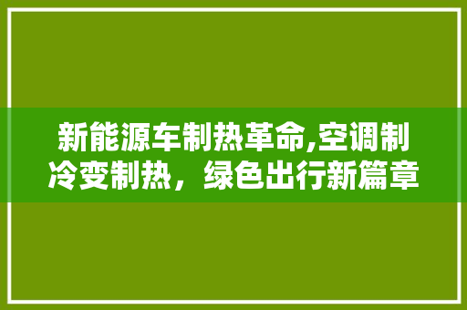 新能源车制热革命,空调制冷变制热，绿色出行新篇章