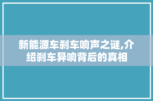 新能源车刹车响声之谜,介绍刹车异响背后的真相