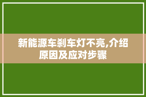新能源车刹车灯不亮,介绍原因及应对步骤