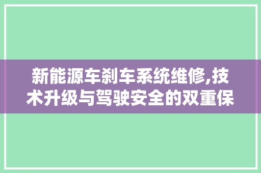新能源车刹车系统维修,技术升级与驾驶安全的双重保障
