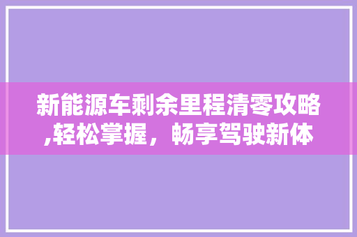 新能源车剩余里程清零攻略,轻松掌握，畅享驾驶新体验