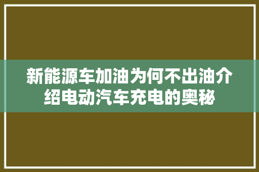 新能源车加油为何不出油介绍电动汽车充电的奥秘