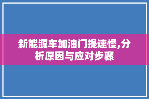新能源车加油门提速慢,分析原因与应对步骤