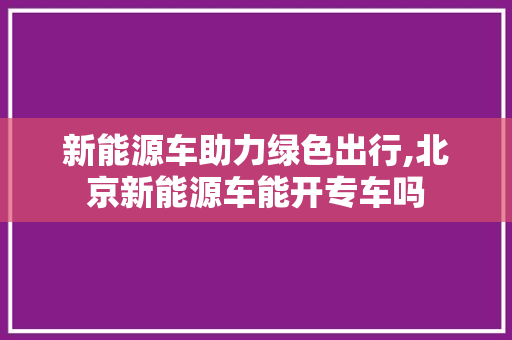 新能源车助力绿色出行,北京新能源车能开专车吗