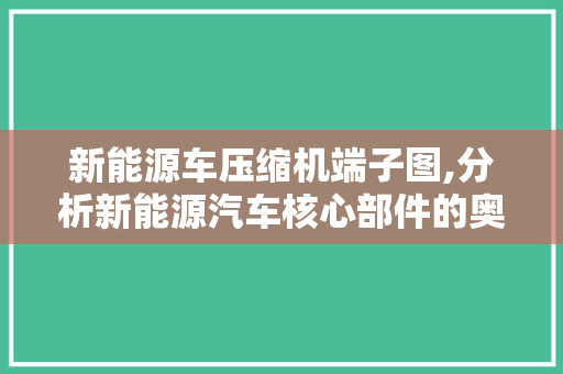新能源车压缩机端子图,分析新能源汽车核心部件的奥秘