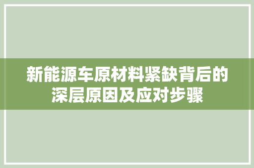 新能源车原材料紧缺背后的深层原因及应对步骤