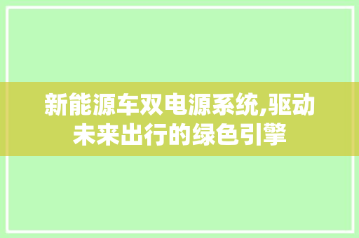新能源车双电源系统,驱动未来出行的绿色引擎